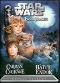 Star wars ewok